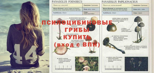 меф VHQ Гусев